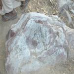 Vraj-Yatra-2014- (661)